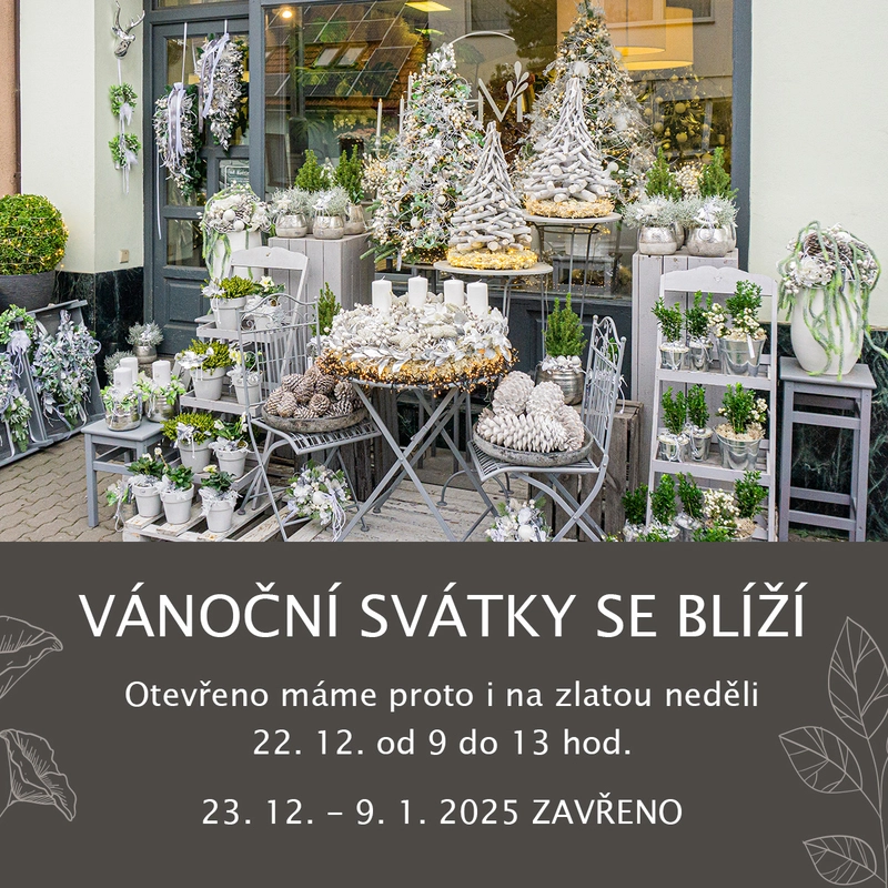 Novinka Vánoce - prodloužená otevírací doba
